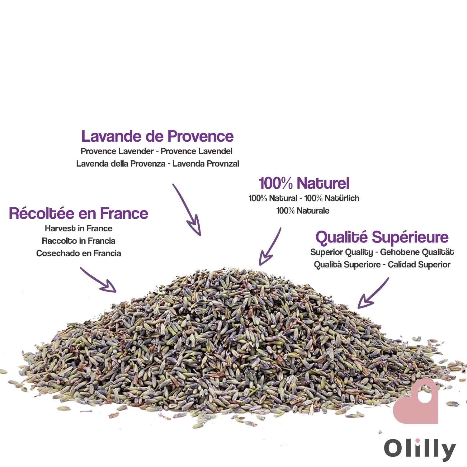 OLILLY - 1 Kilogramme - Fleurs de Lavande Séchée de Provence - Récolte 2025 (Lavandin Grosso, 1000 Grammes)