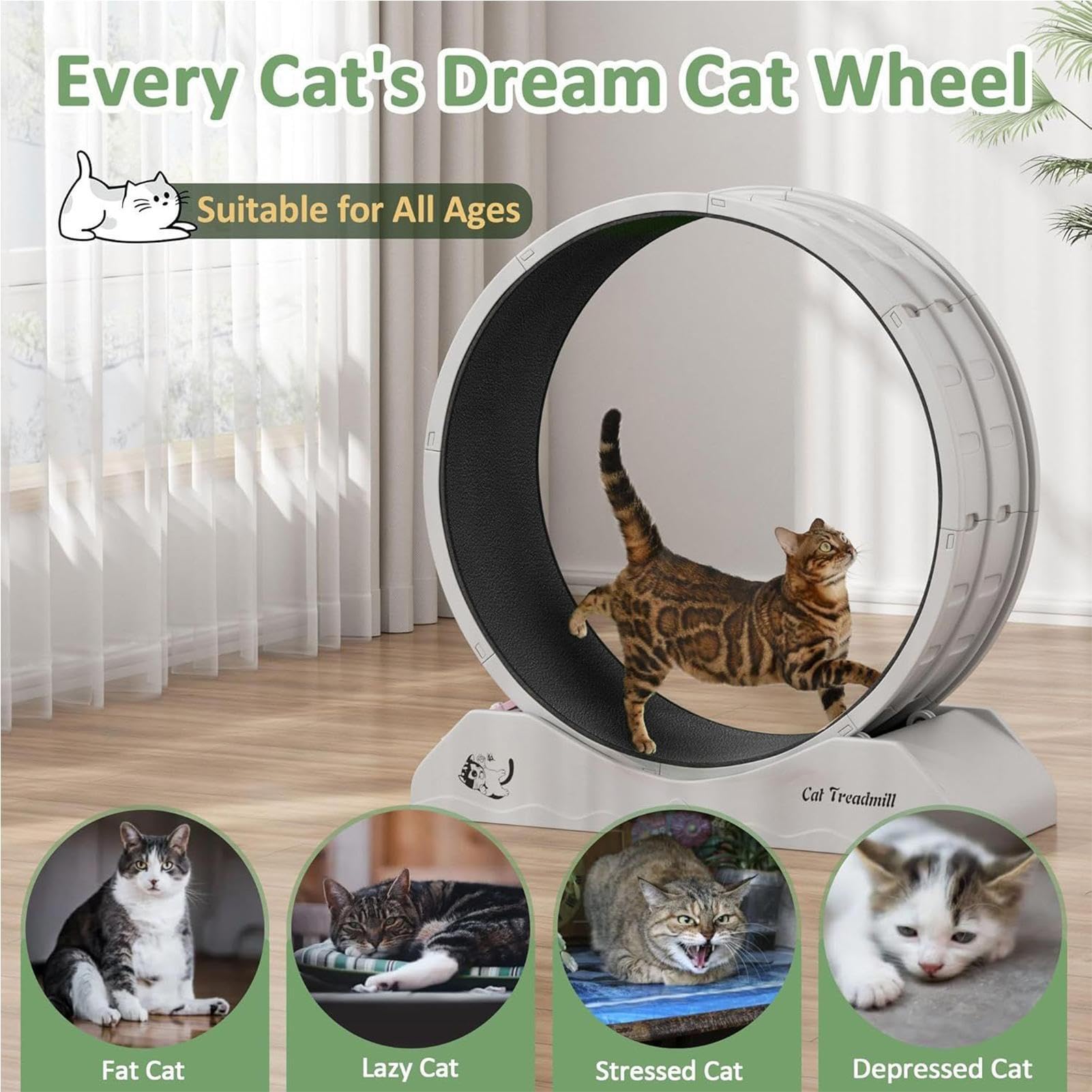 Rueda para Gatos Ejercicio Interactivo Ergonómico Silencioso Antideslizante | Equipo Fitness para Gatitos Rueda De Correr Silenciosa Para Gatos, Juguete Interactivo Interior Y Exterior