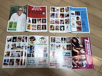 「アイドルたちの本」出版案内　ワニブックス　2001年7月　平成13年 Amazon.co.jp: ワニブックス 販促品 「写真集 出版案内 こんなに