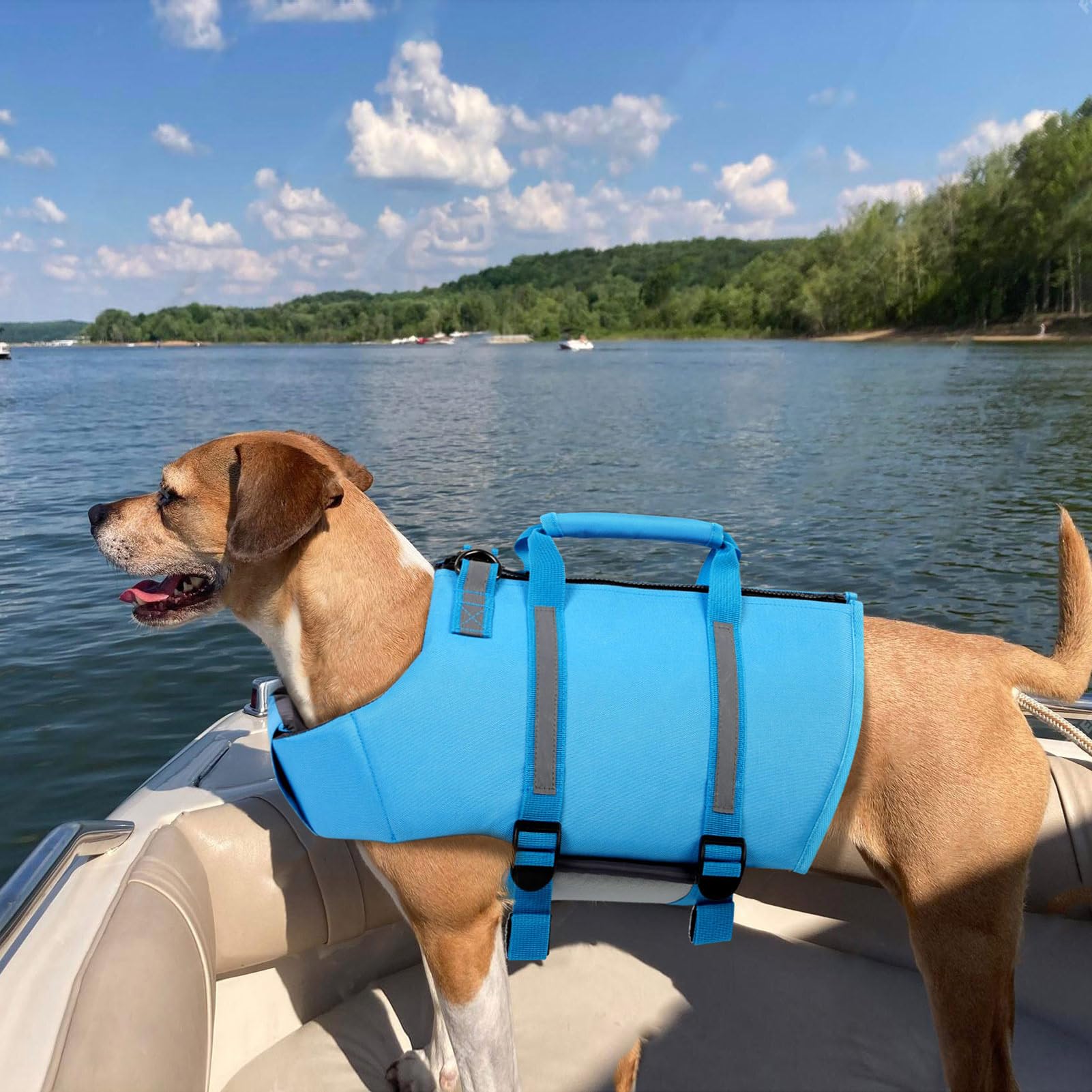 Schwimmweste für Hunde, Ripstop Hundeschwimmweste mit Rettungsgriff und Reflektierenden Streifen, für Kleine, Mittel und Große Hunde, Blau, L