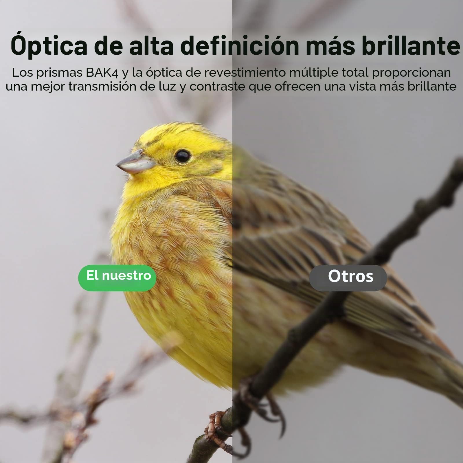 Prismáticos Profesionales de Alta Potencia para observación de Aves | Prismáticos 20x50 para Adulto con Lentes de Revestimiento Multicapa Porro BAK4 Prism len para Senderismo