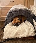 Review Image by Dogmom69 Dogmom69