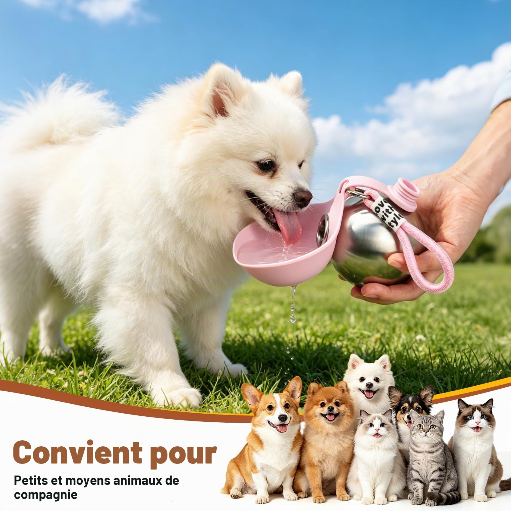 Gourde pour Chien Promenade, 285ml Bouteille Eau Chien en Acier Inoxydable, Gourde Anti-fuite avec Gamelle Pliable en Silicone, Bouteille d'eau Portable pour Chien pour Balades Voyages Camping