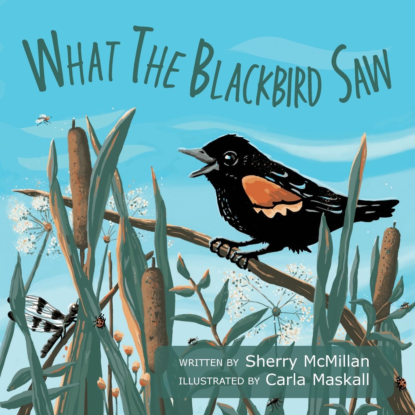 What the Blackbird Saw : McMillan, Sherry, Maskall, Carla: Amazon