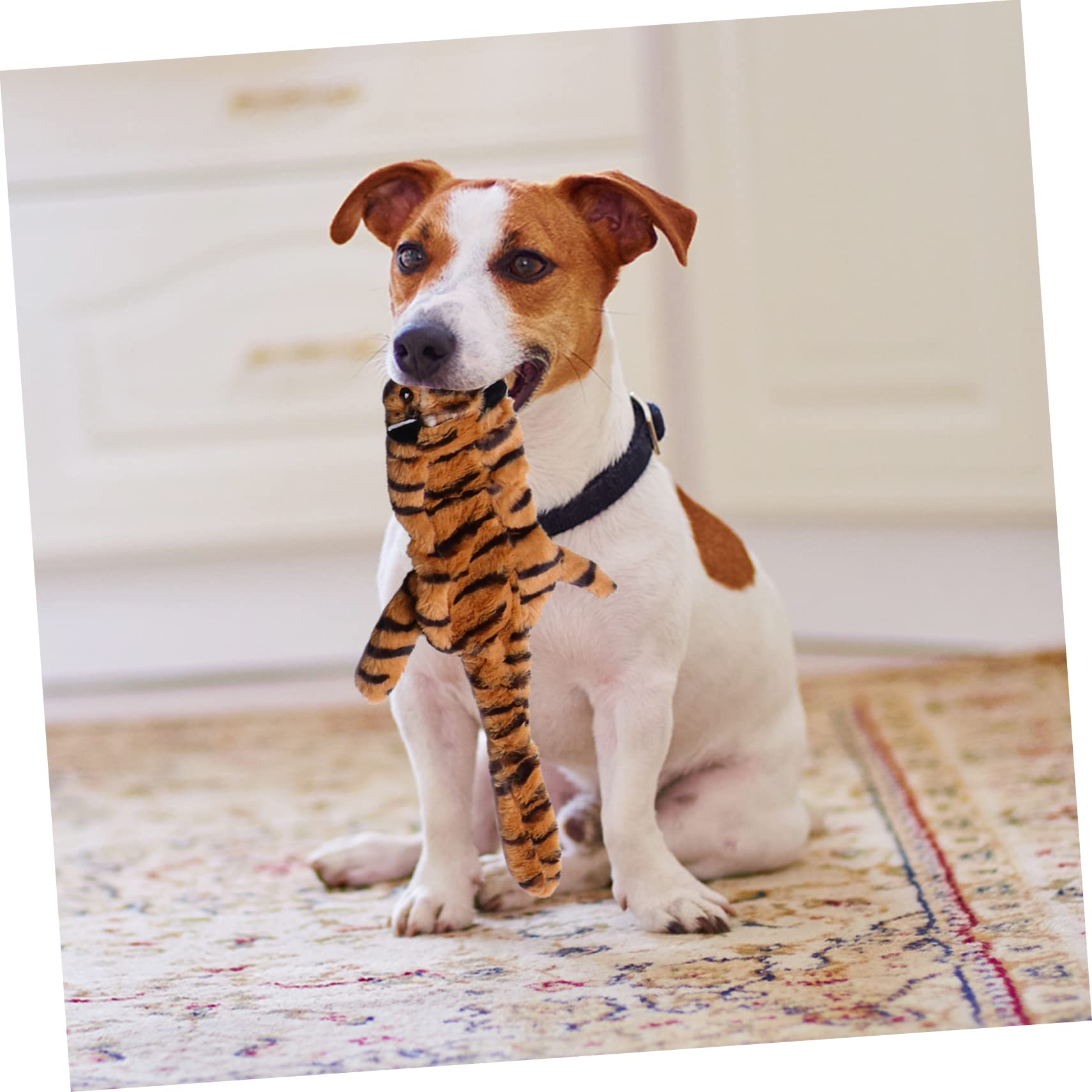 Toddmomy 6piezas Juguete De Molar De Peluche para Perros Juguete Sonoro para Mascotas para Masticar y Limpiar Dientes
