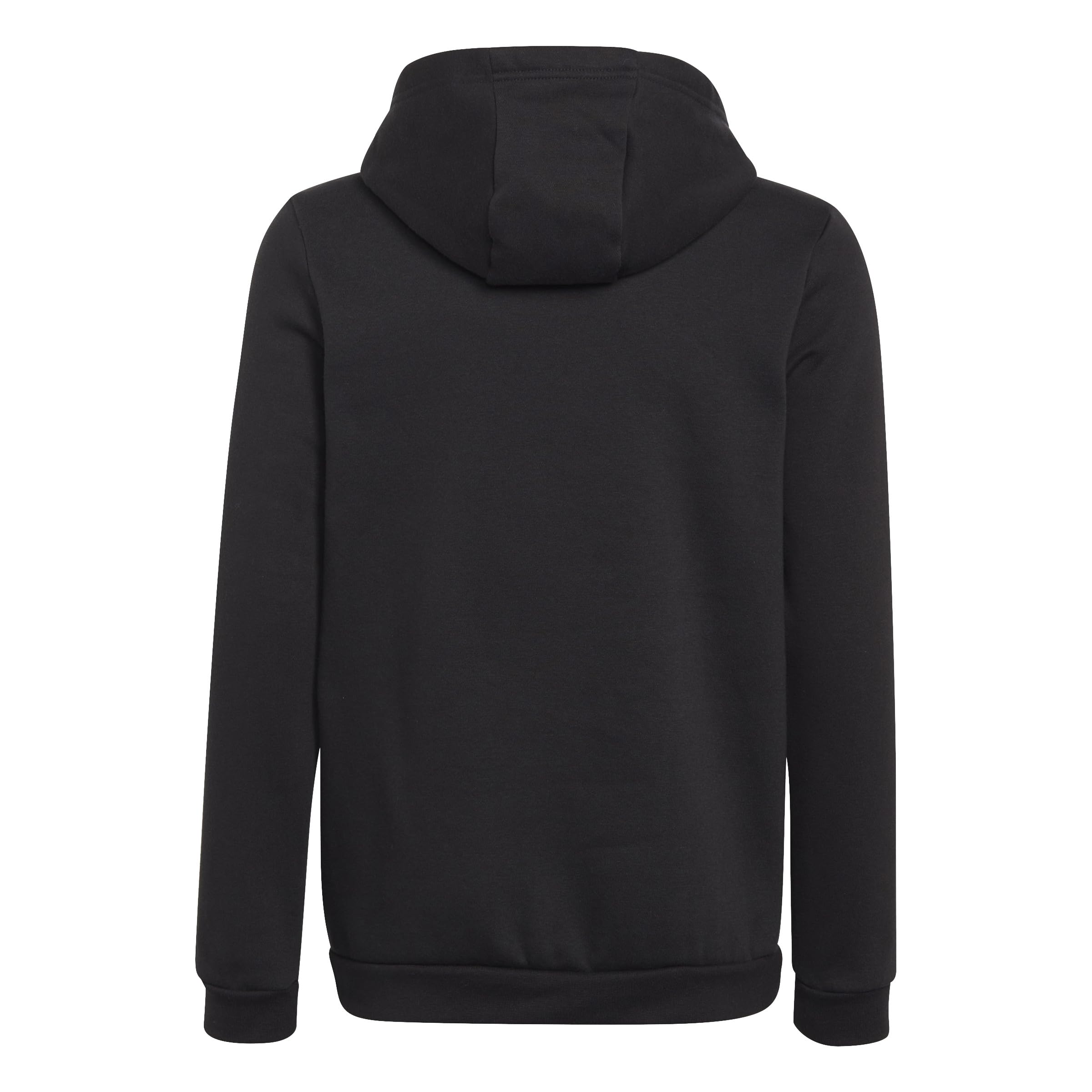 adidas Unisex niños Entrada 22 Sweat Hoodie
