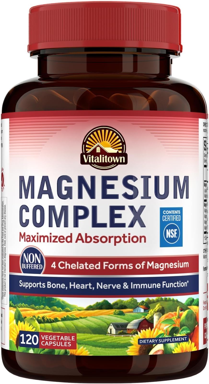 Vitalitown Magnesium Complex Supplement 500mg - NSF Certified Magnesium Glycinate, Malate, Taurate & Citrate - Chelated High Absorption & Gentle on Stomach - Vegan Non-GMO 120 Capsules