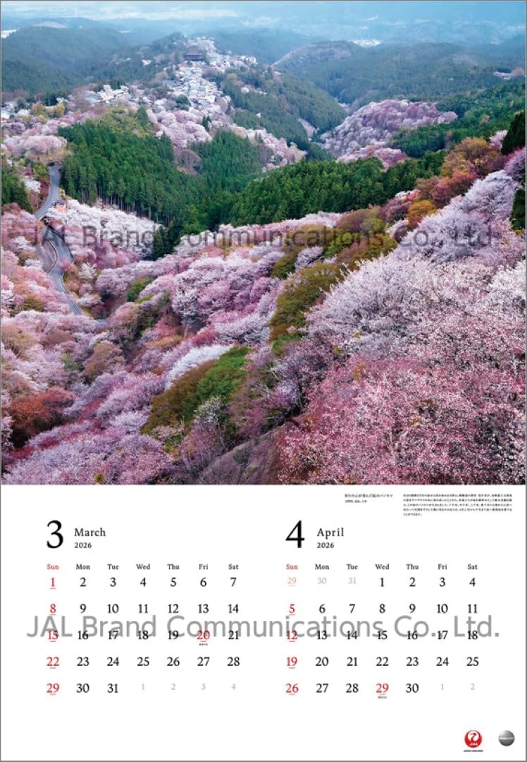 Amazon | JAL「A WORLD OF BEAUTY」（大型判） 2026年 カレンダー