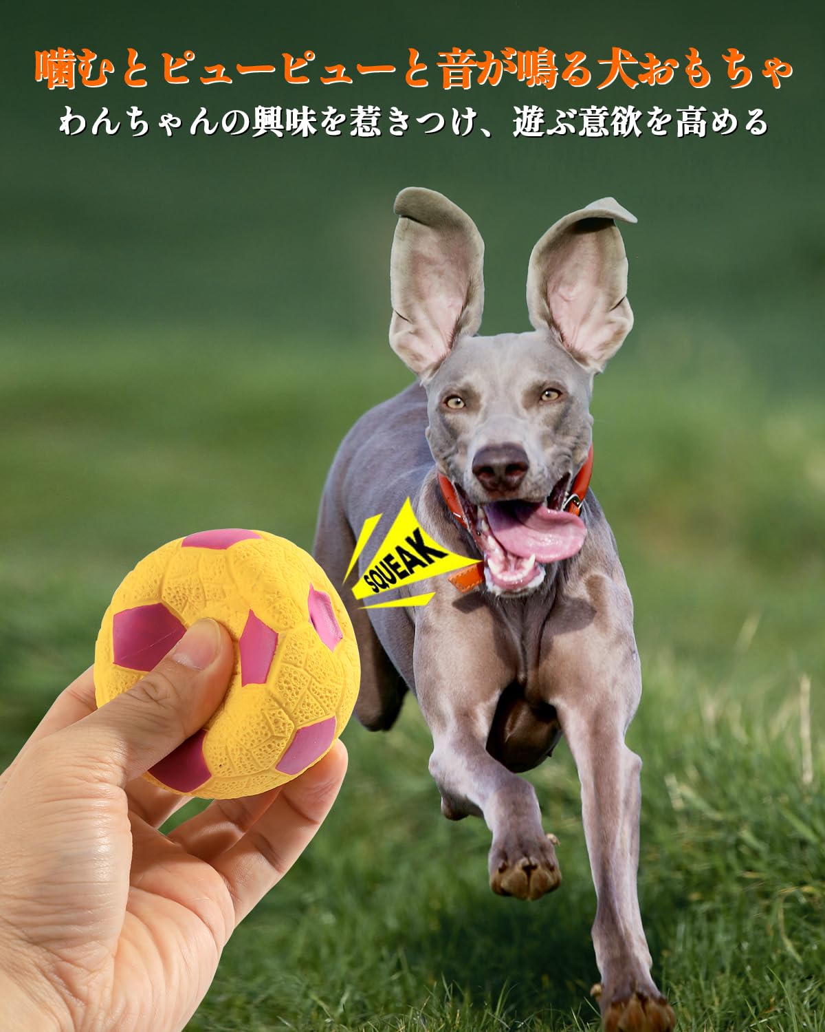 犬　おもちゃ　ボール　7cm Amazon | SCHITEC 犬 おもちゃ ボール 音の出る 【8個セット 直径7cm
