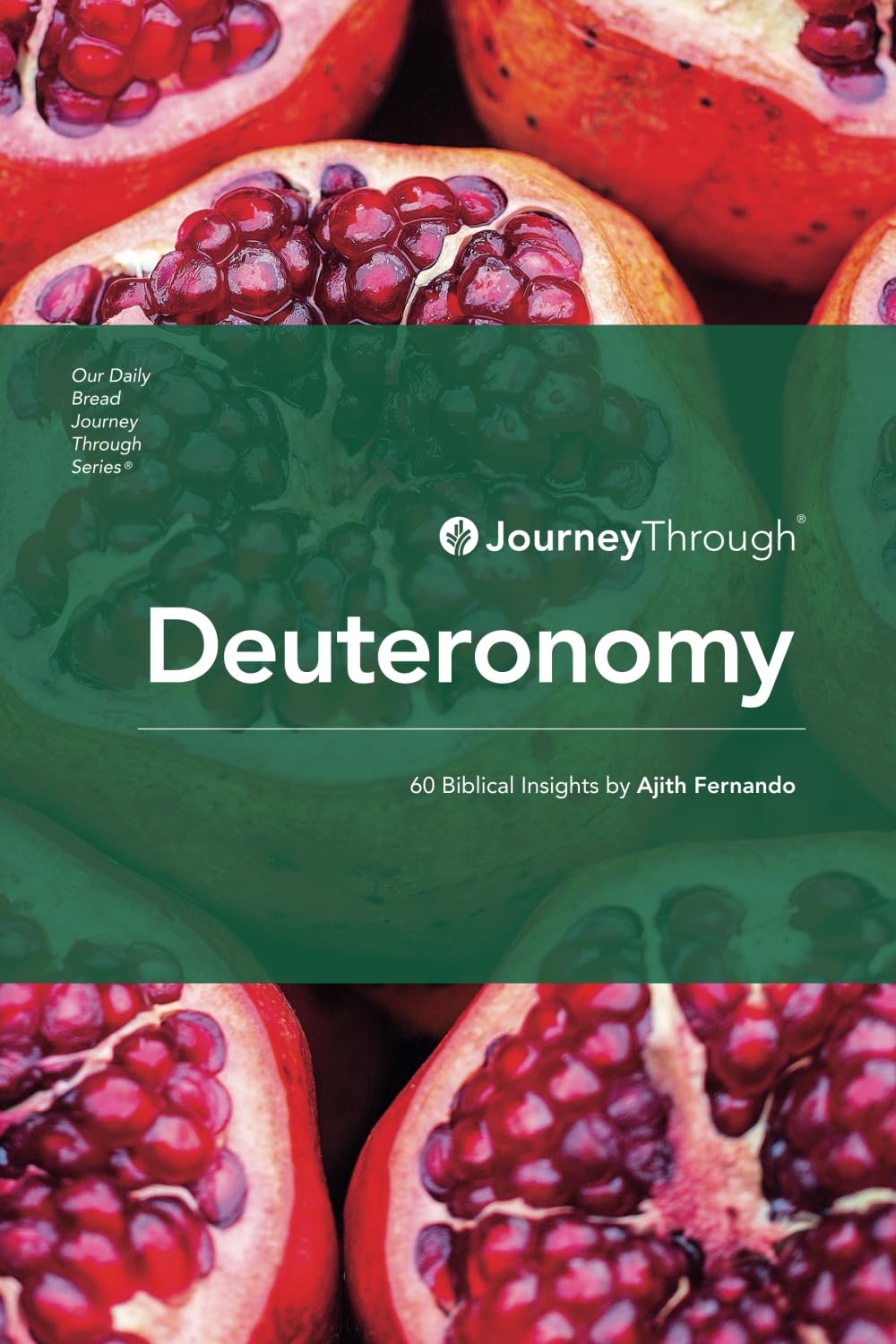 Journey Through Deuteronomy: 60 Biblical Insights by Ajith Fernando (Journey Through Series: Pentateuch)