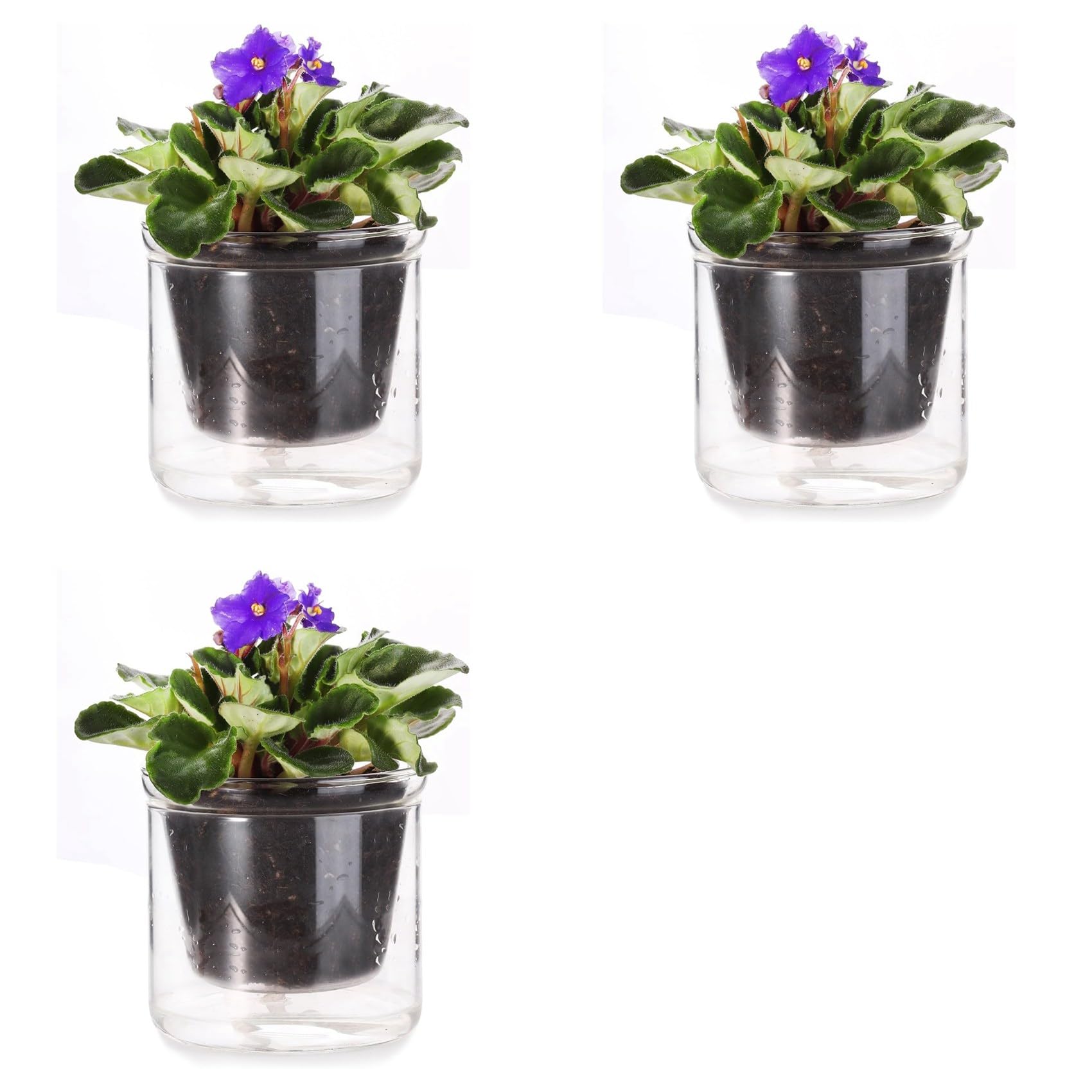 Pot pour violette africaine à arrosage automatique, lot de 3 pour sauver vos boutures