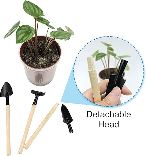 Miniatura 2 de Andiker Mini herramientas de jardinería, juego de 3 herramientas de mano de jardín portátiles, rastrillo de jardinería en miniatura paleta y pala