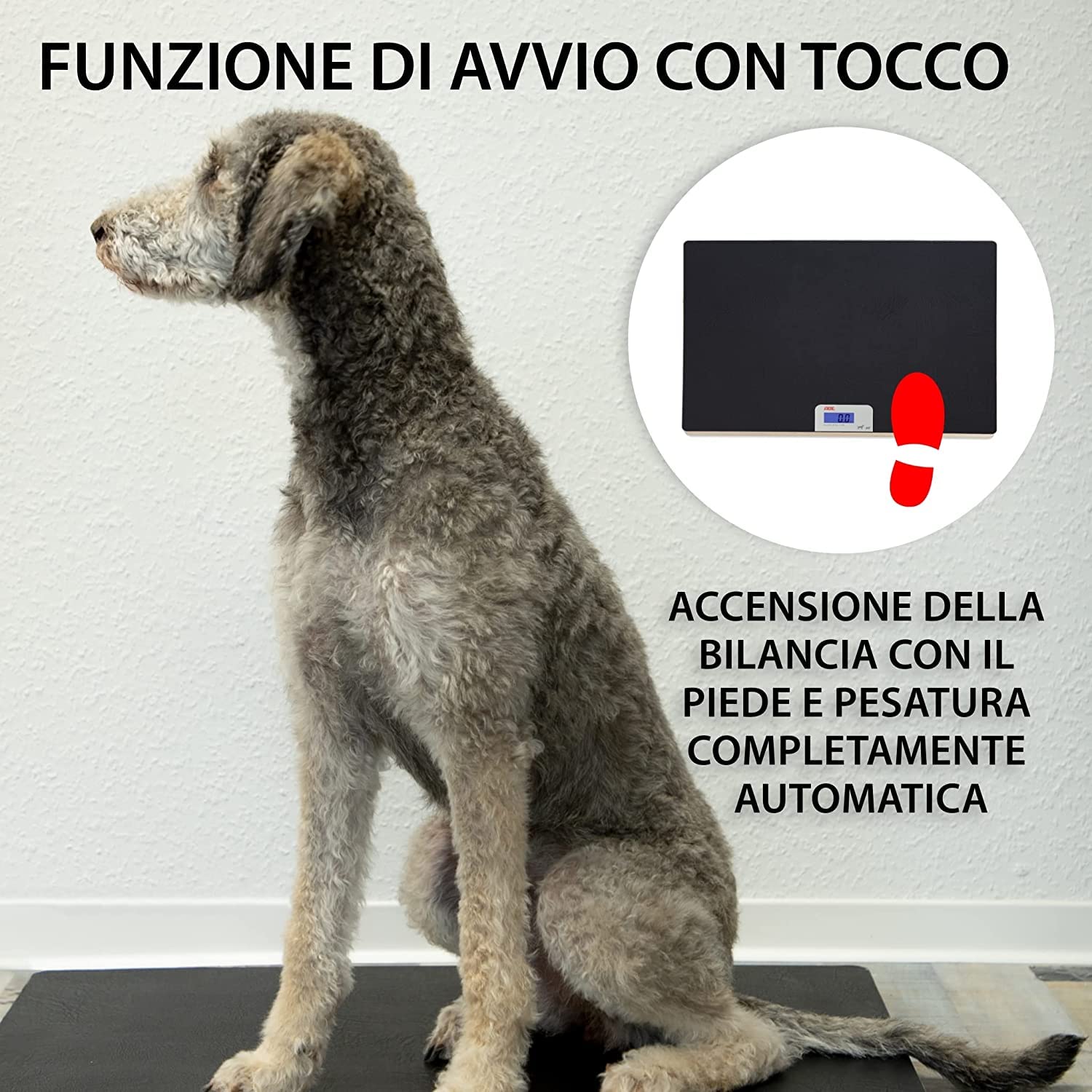 Bilancia Digitale Per Neonati, Bilancia Intelligente Con Funzioni Hold & Tare, Display A LED, Bilancia Multifunzione Per Animali Domestici, Peso | Leroy Merlin - Foto 2