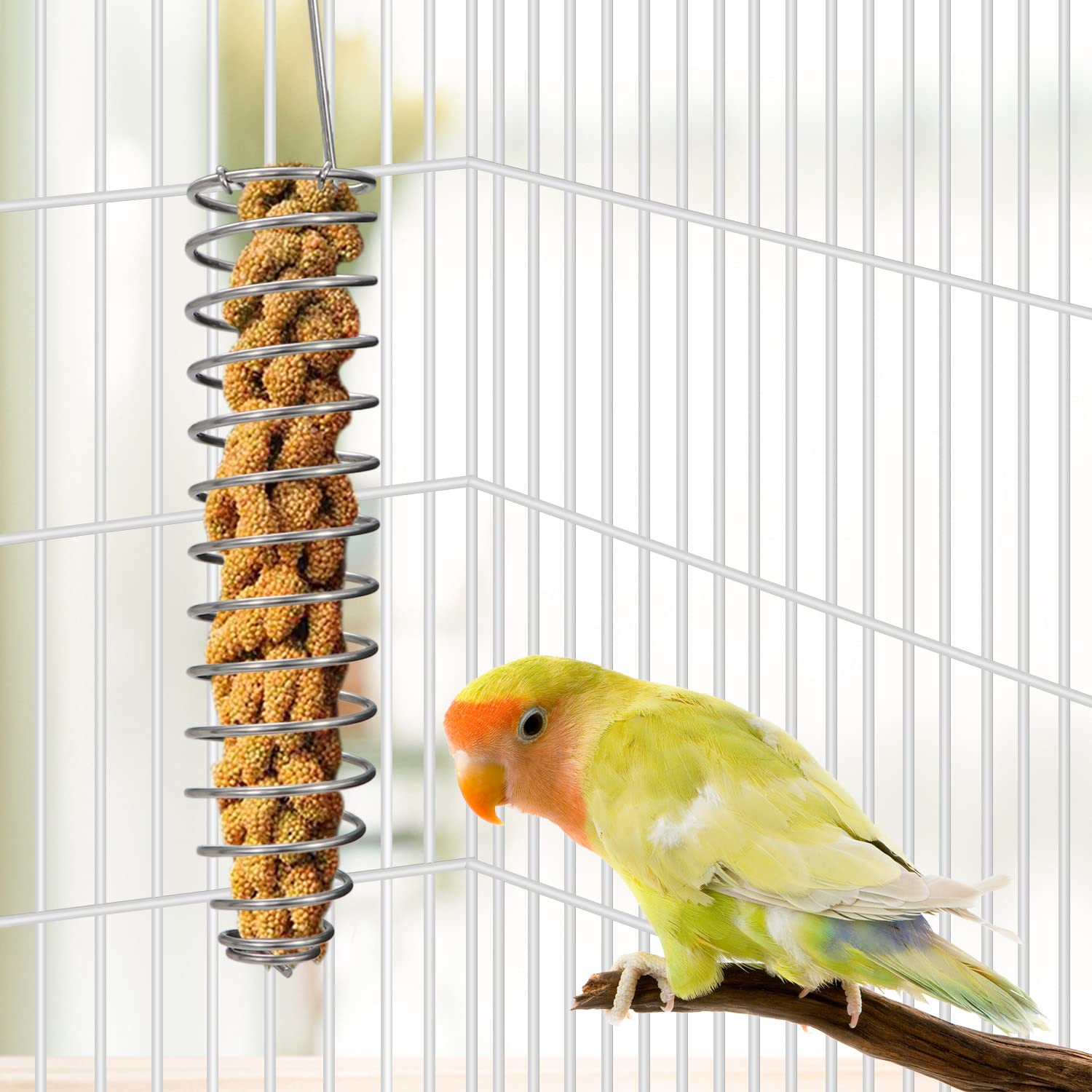 Bol En Acier Inoxydable Pour Oiseaux - Lot De 4 Tailles Différentes, Facile à Fixer Et à Nettoyer - 11