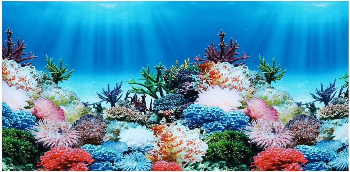 TEHAUX 1pc Aquarium Background Cling Glass Picture