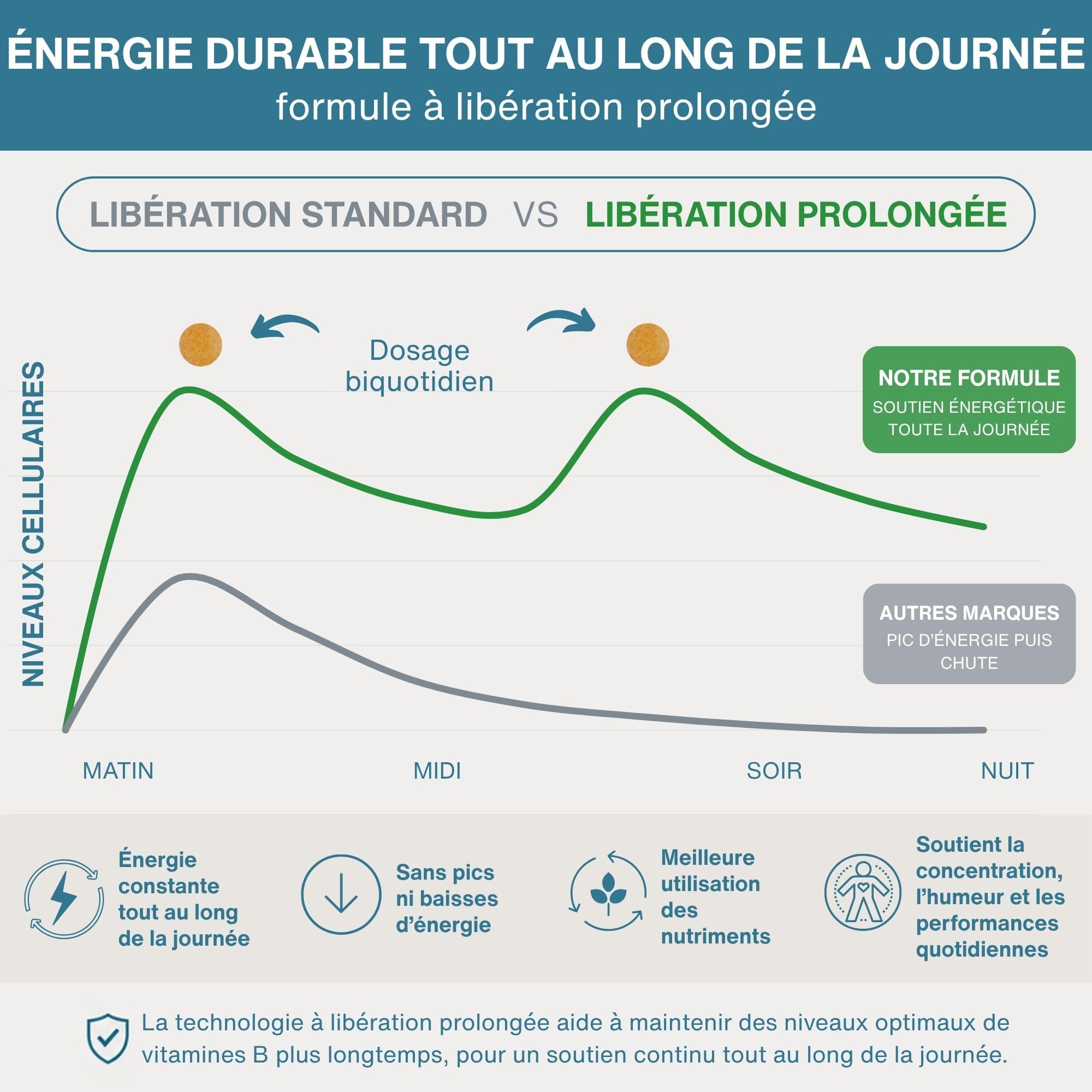 Igennus Super B-Complex à Haute Absorption avec Vitamines B Méthylées et Vitamine C, Liberation Prolongée, Ingredients Purs et Vérifié en Laboratoire, 180 Petits Comprimés, Vegan