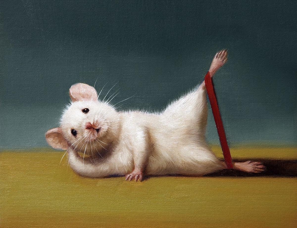 Amazon.com: Gym Rat Side Leg Lift by Lucia Heffernan Cute Funny