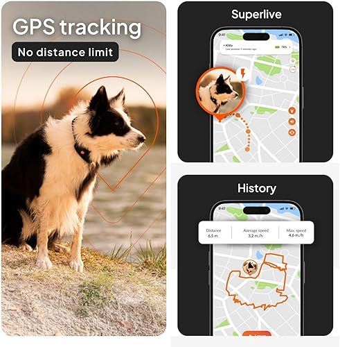 Miniatura 3 de Weenect Dog XT - Nuevo collar GPS para perros | Antena XL | Impermeable | Collar Julius-K9 integrado ultra duradero | Requiere suscripción