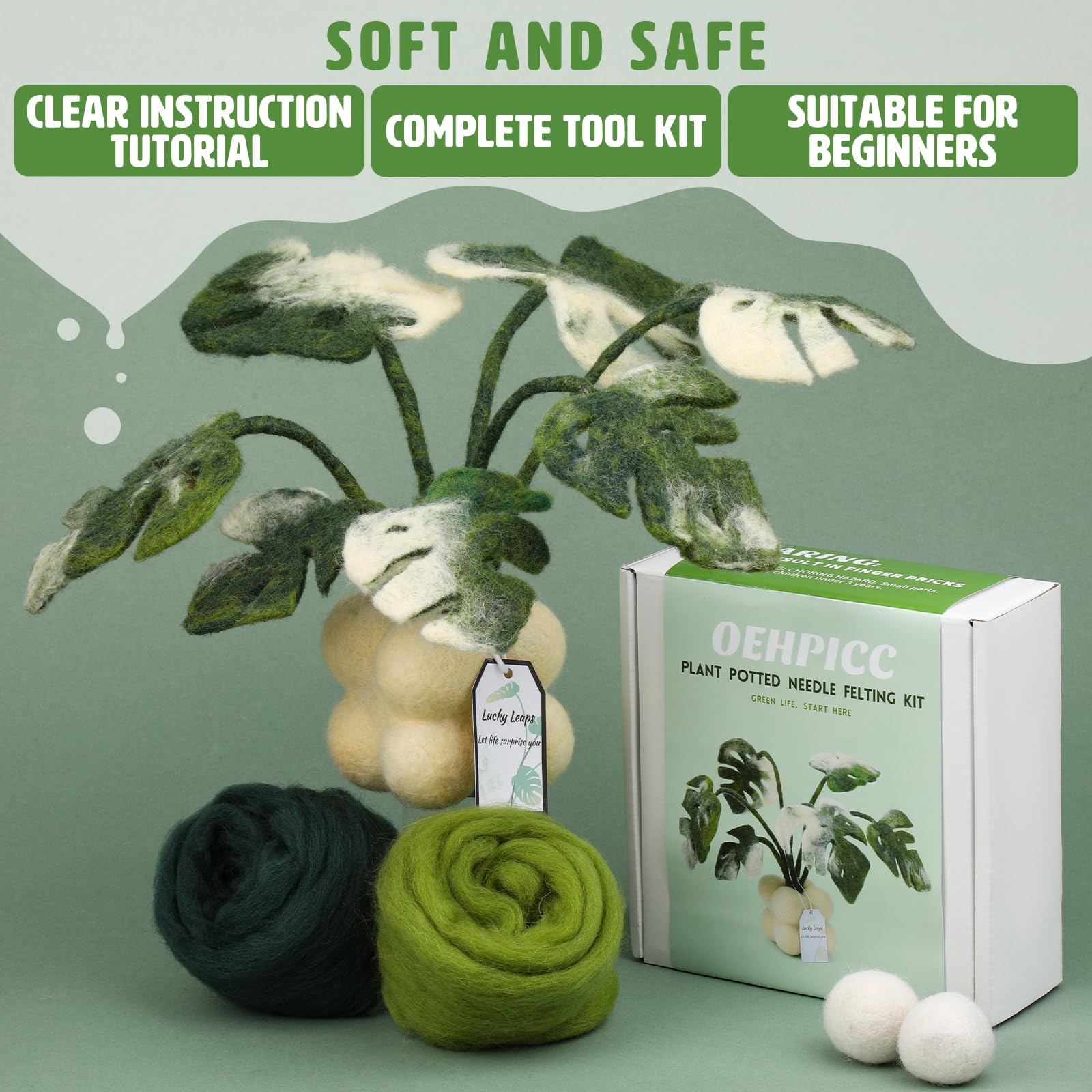 OEHPICC Kit de fieltro de aguja, kits de fieltro de plantas para principiantes y adultos, kit de fieltro de lana con bolas de lana de fieltro, agujas de fieltro, almohadilla de fieltro de lana