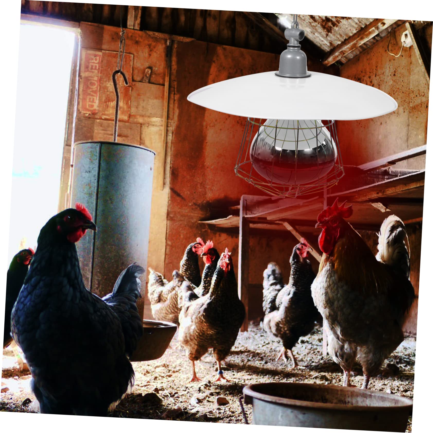 COLLBATH Lampada Riscaldante per Animali da Allevamento Colore Casuale Coprilampada in Metallo e Rete di Protezione, Buona Efficacia Termica e Resistente per Gabbie di Piccoli Suini