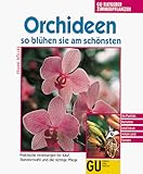  Orchideen. So blühen sie am schönsten