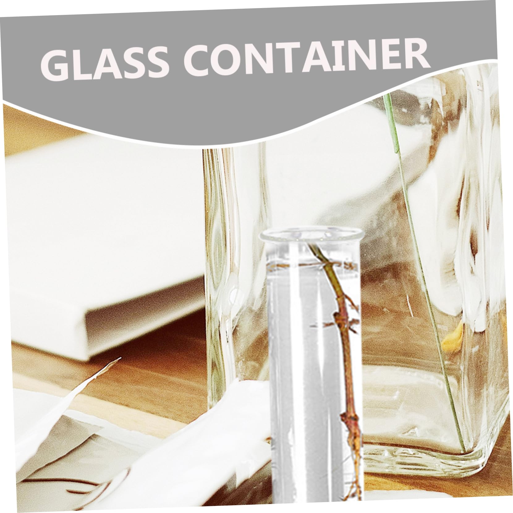 Alipis 16pièces Vase Hydroponique pour Éprouvettes De Propagation Support Élégant pour Terrarium Décoratif pour Plantes Intérieur