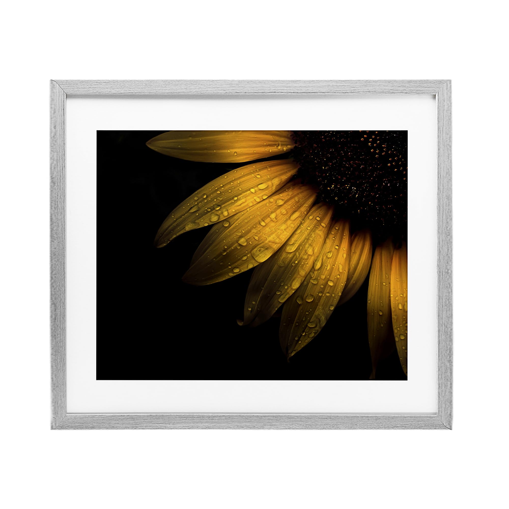 Impression encadrée tournesol sous verre avec détails macrophoto