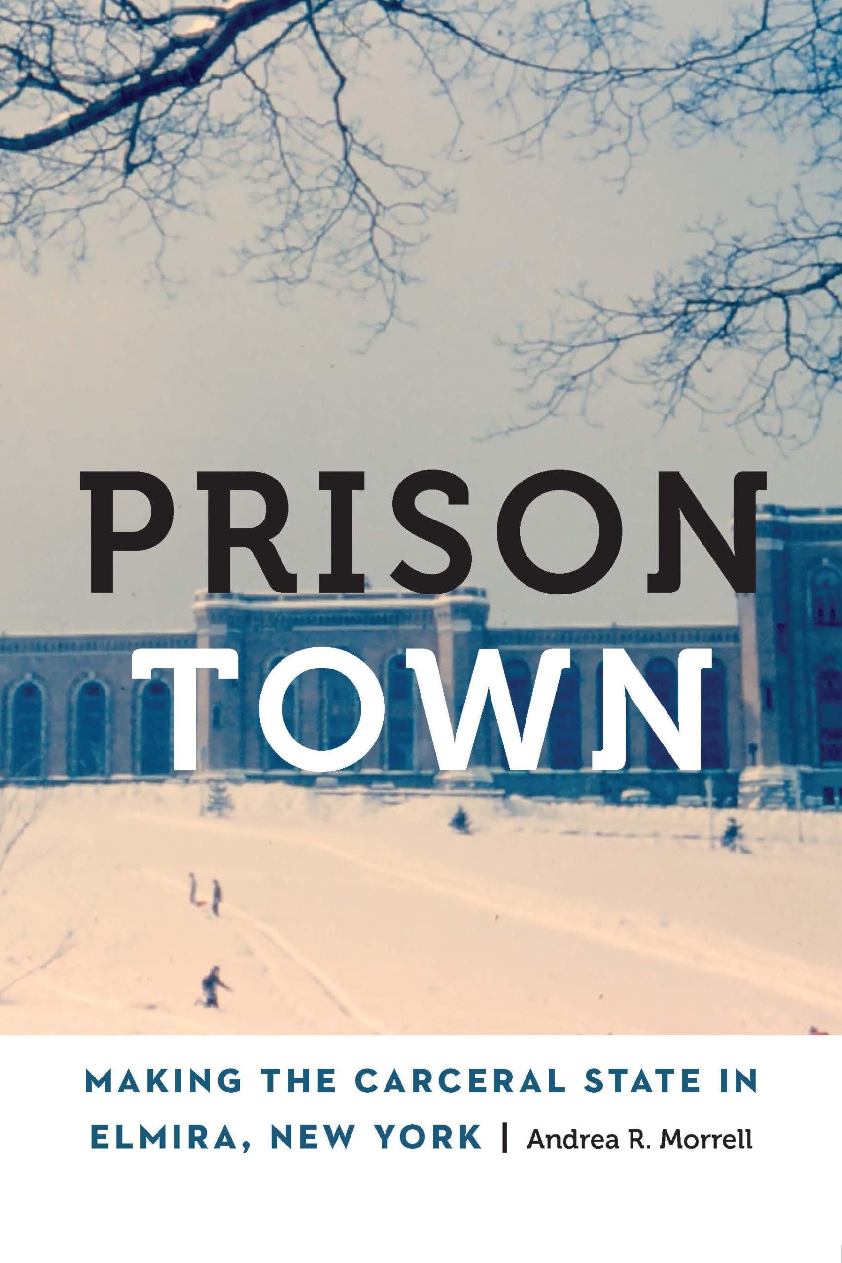 Prison Town  Making the Carceral State in Elmira  by Andrea R. Morrell PAPERBACK