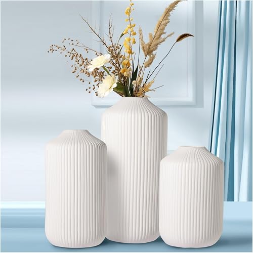 White Ceramic Vase,Boho Round Modern Table Flowers Vases-Home Accents,Shelf,Office,Nordic Minimalist Decor for Home(3Piece)