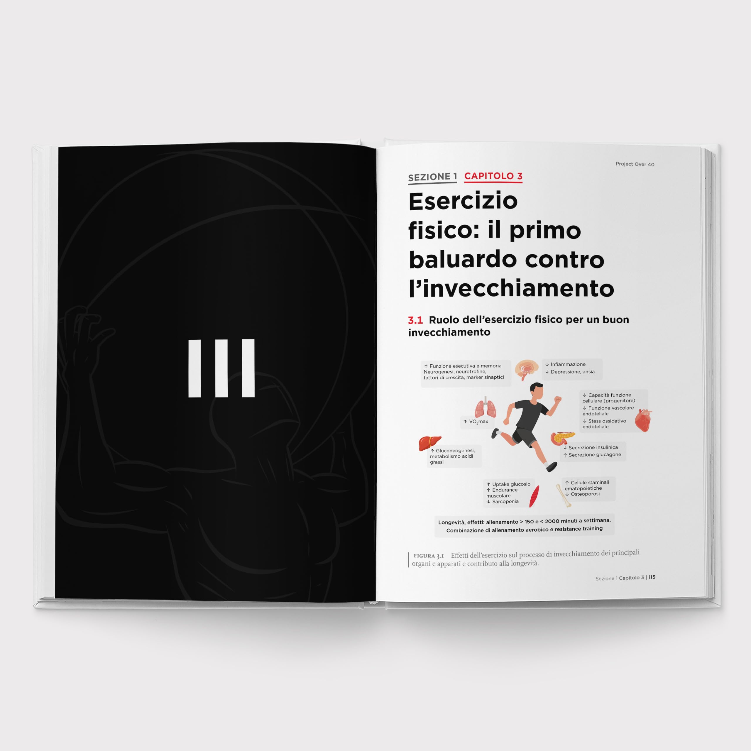 Project Over 40 - Allenamento e Alimentazione