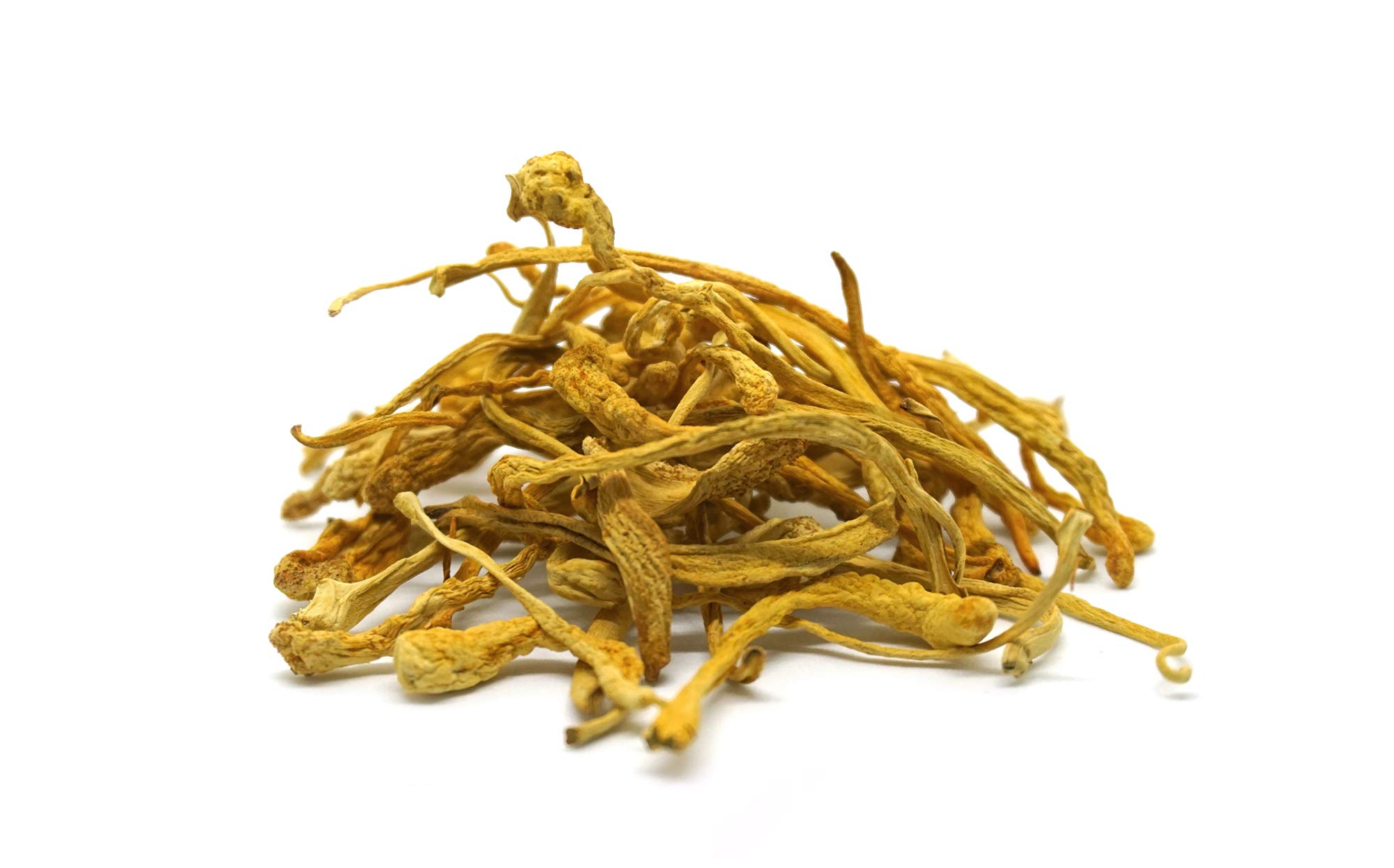 mynatura Bio Cordyceps Pulver 200g | Raupenpilz gemahlen | Vitalpilz aus kontrolliertem Anbau | Hochwertig & proteinreich | 100% Vegan & Glutenfrei | DE-ÖKO-044 (1 x 200g)