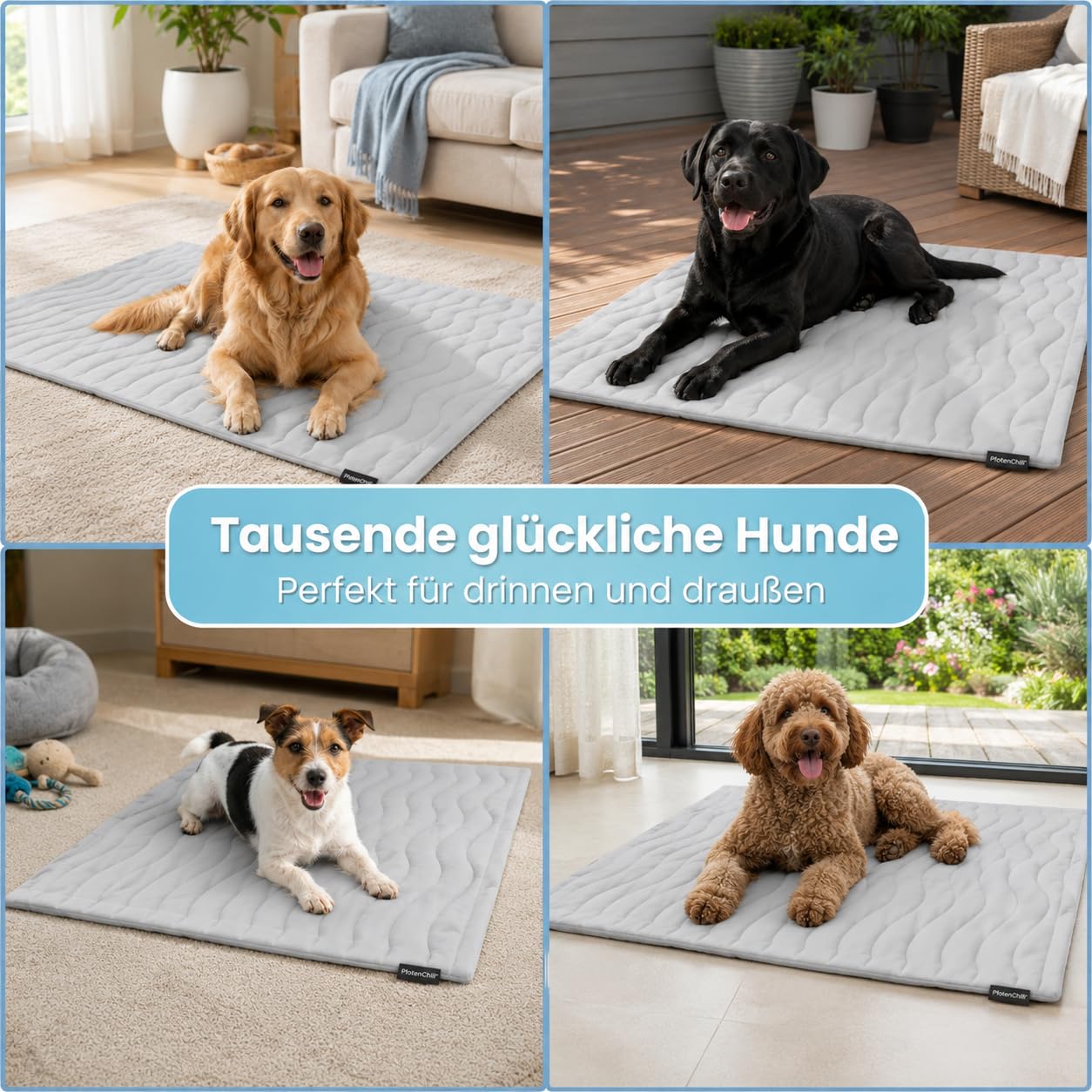 Dr Pfoten Pfotenchill Die Innovative Kühlmatte Für Hunde - Auto und Reise (M(91 * 58CM))