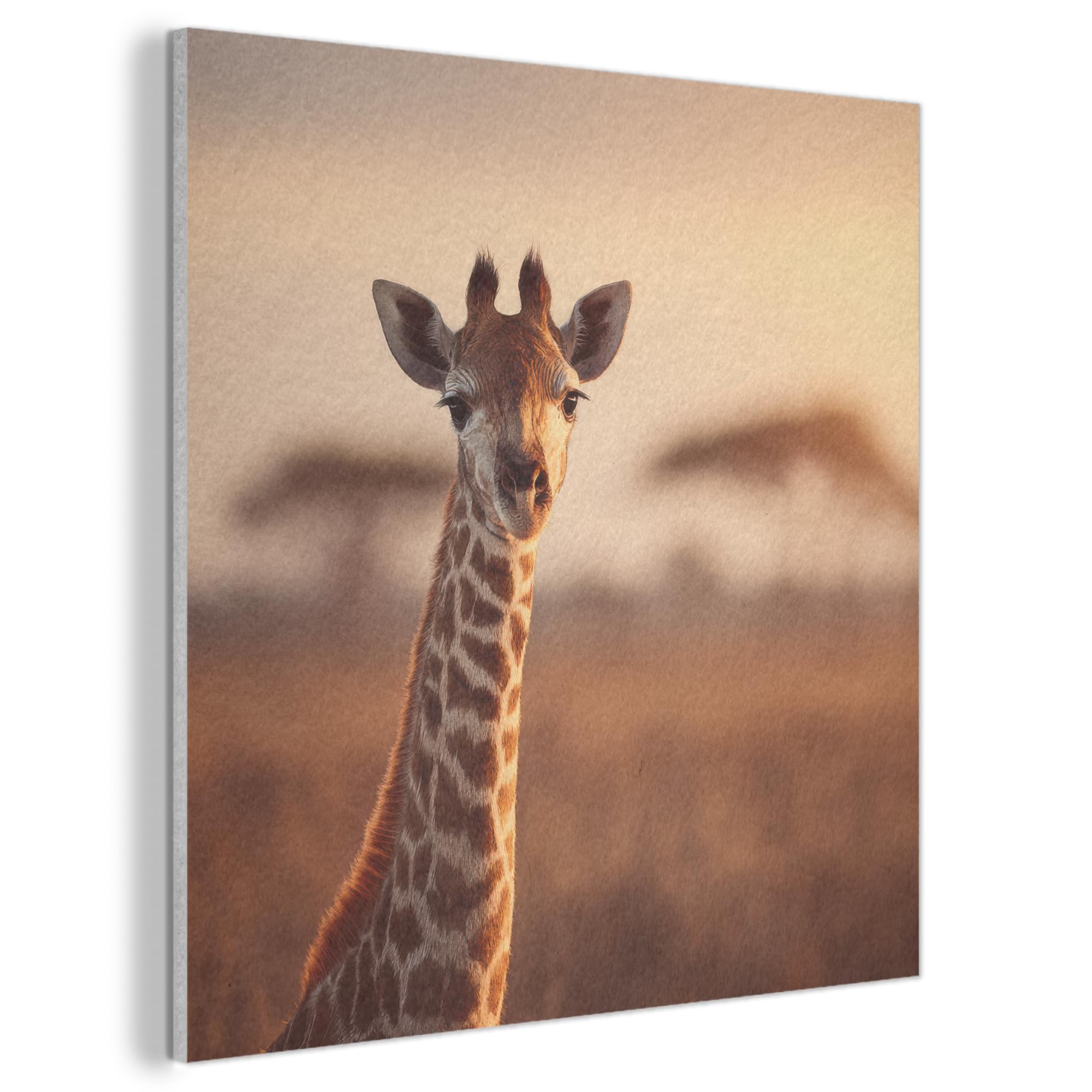 MuchoWow© Felt Panel 90x90 cm Framed Design Print Accent Interior Wallart Decoration Wall Art Giraffe - Savannah - Brown