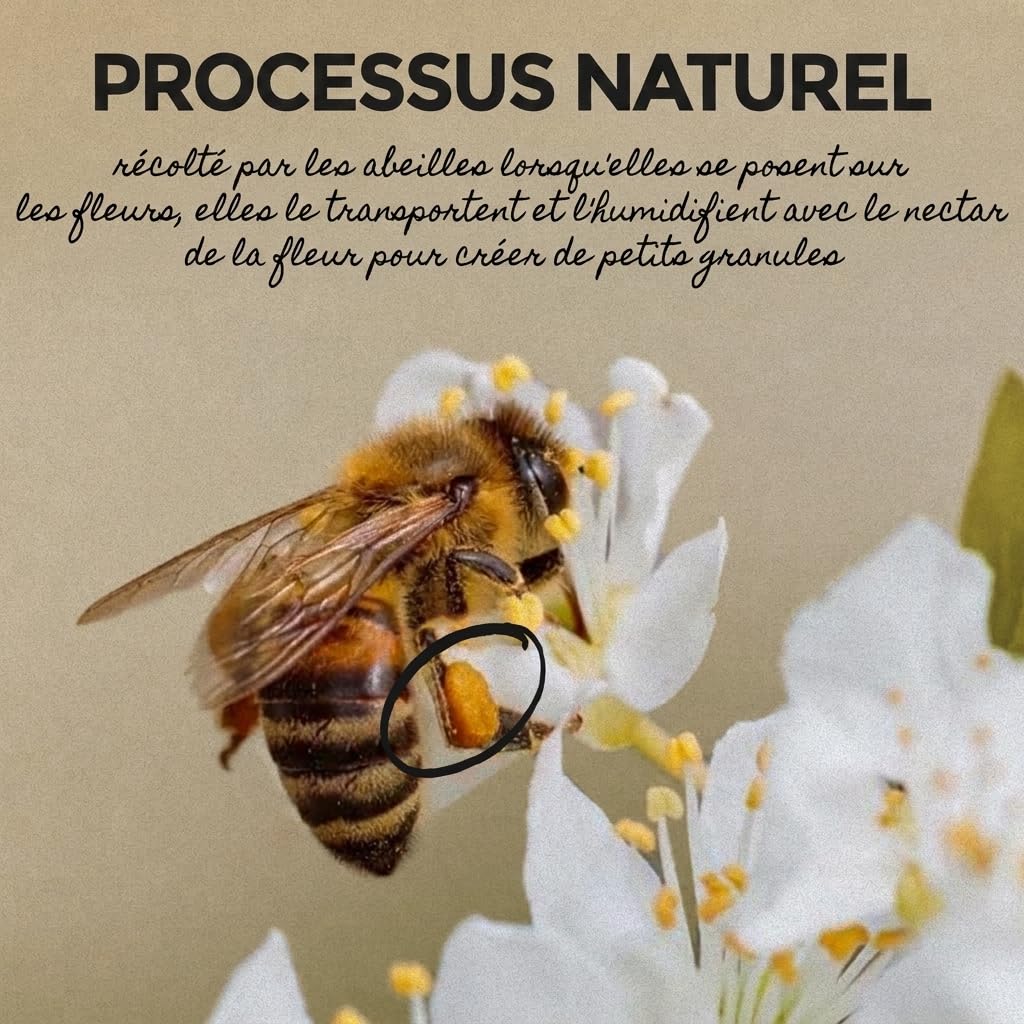 Pollen d'abeille cru et naturel 1 kg.Ce bee pollen doré et parfumé provient d’apiculteurs passionnés. Idéal pour renforcer l’immunité, retrouver énergie et équilibre, et sublimer vos petits déjeuners.