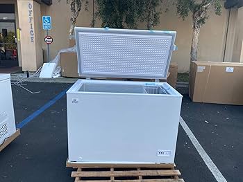 Amazon.com: Commercial Freezer Chest freezer 10 Cuft NSF