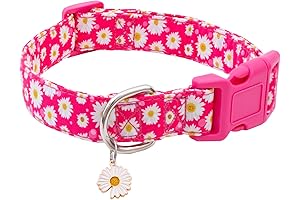Faygarsle Cute Pink Dog Collar for Stylish Girls