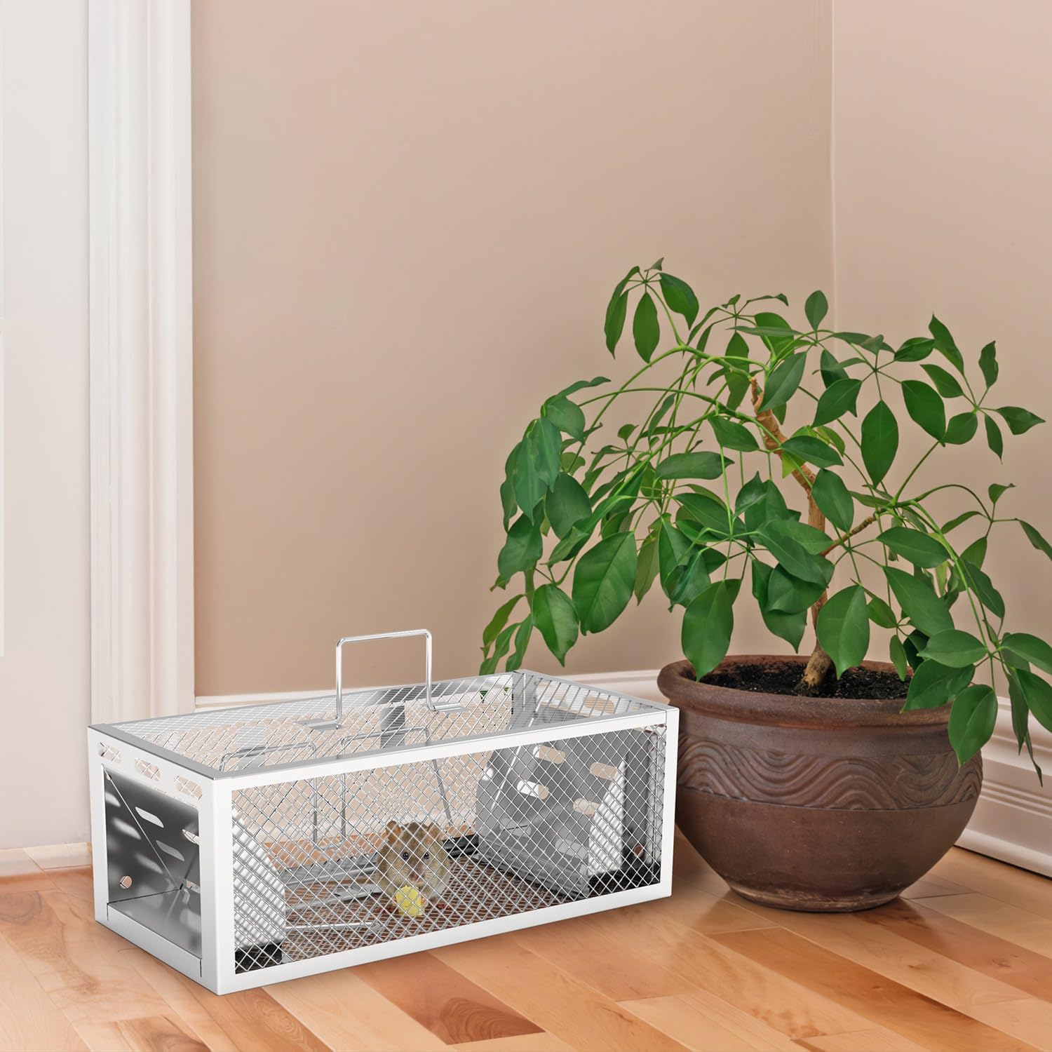 Humane Rat Trap-2Pack 11.81x5.63x4.45inch 2-Door Automatic Continuous Mouse Trap Reusable Galvanized Iron Live Animal Cage for Voles Mice Rats Weasels Small Squirrel Home Garden Use
