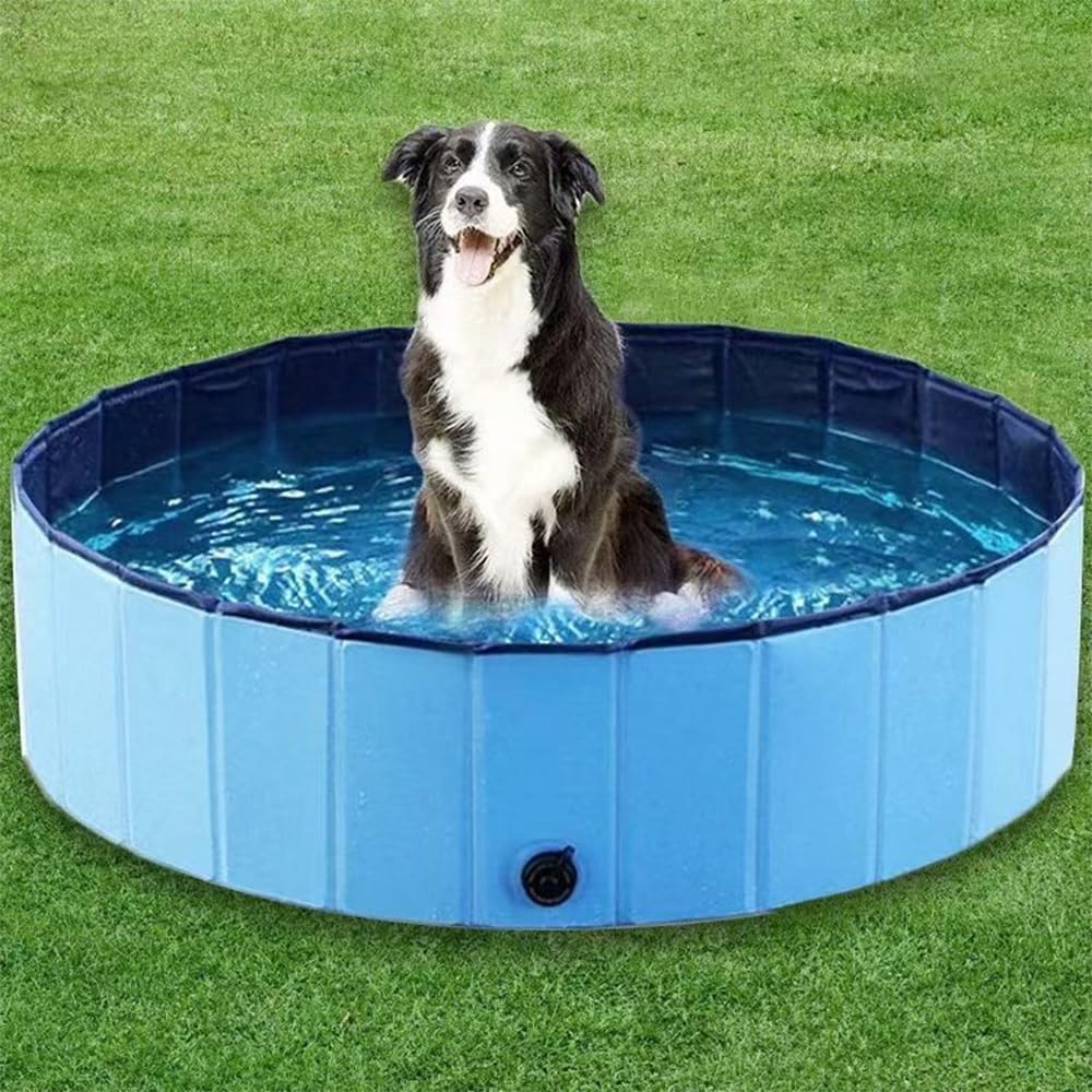 Piscina per Cani Pieghevole, Portatile PVC Vasca per Cani Piscina per Grandi e Piccoli Cani, Rivestimento Antiscivolo, con Foro di Scarico, 3 Dimensioni Disponibili per Piccoli, 100 x 30cm