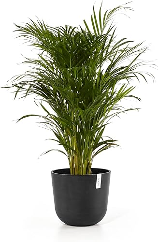 Miniatura 2 de Ecopots Oslo - Maceta compuesta redonda y duradera para interiores y exteriores, a base de reciclaje, color gris oscuro, 14 pulgadas