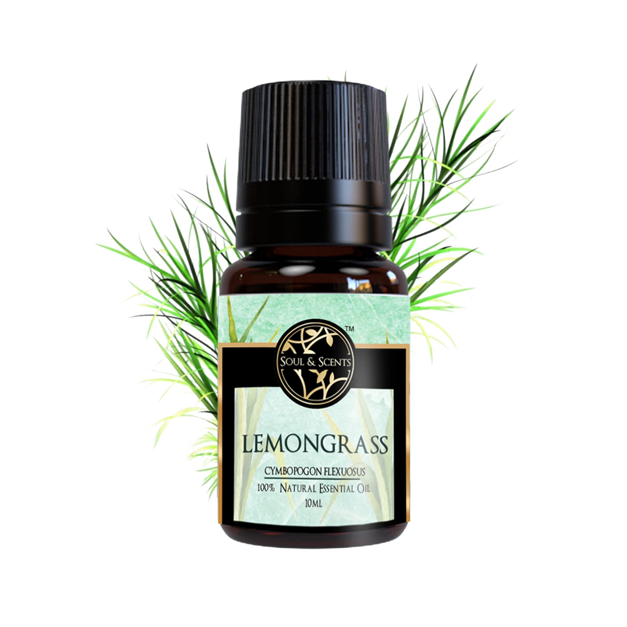 Soul & Scents Lemongrass Essential Oil | Lemony, Fresh, & Invigorating Aroma | 100% Organic | Supports Stress Relief, Boosts Self-Esteem & Confidence | Uplifts Mood & Relieves Tension | 10 ml