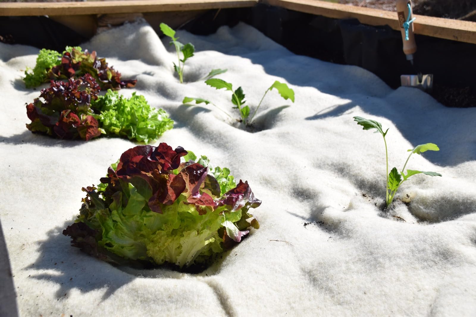 Unkrautschutzmatte aus Schafwolle 100cm Breite für Gartenbeet, Hochbeete - 255g/m² Schafwollvlies 5mm Natur - in Wunschlänge (10m Länge)