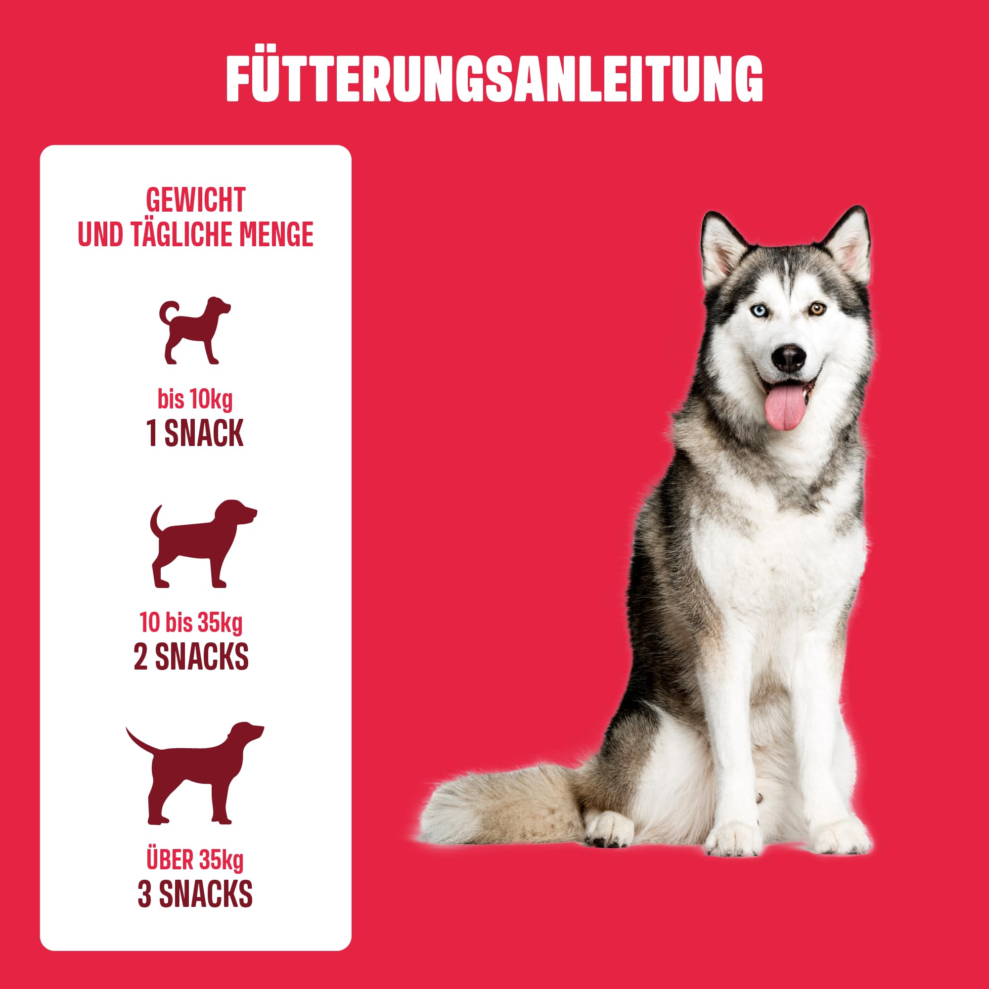 ivvi Allergy Immunity für Hunde – gegen Allergien & Juckreiz und zur Stärkung des Immunsystems - 60 leckere Snacks (270g) mit Lachs
