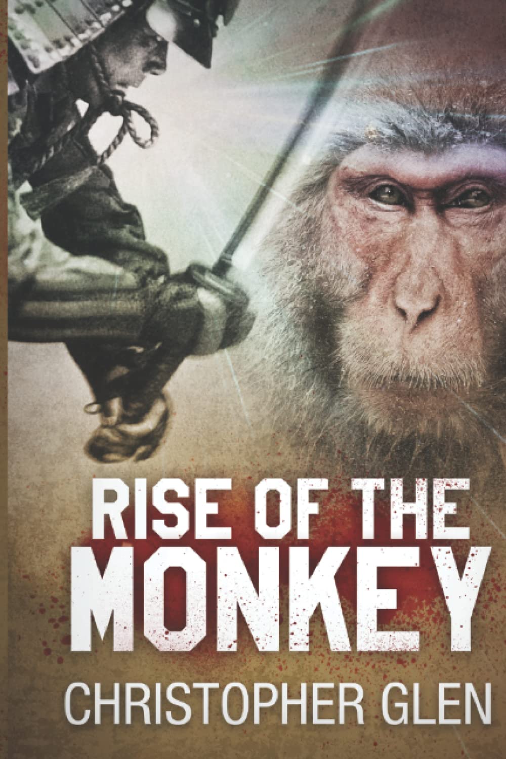 Rise of the Monkey (Book one on the rags to riches story of Toyotomi Hideyoshi, and feudal Japan.)