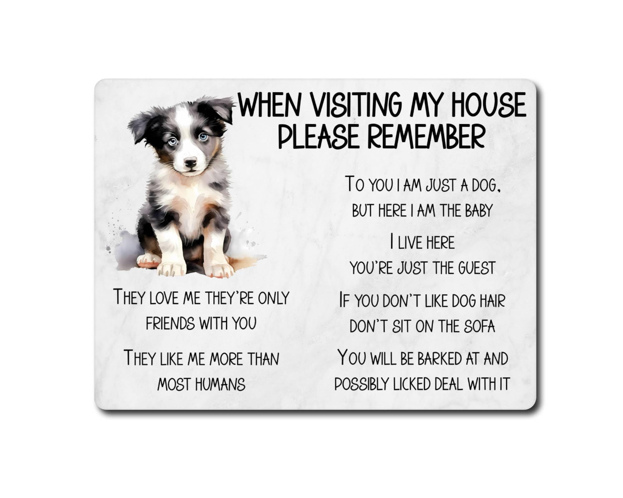 Border Collie Metal Sign Gift – When Visiting My House Please Remember - Cute Fun Novelty Dog Aluminium Present