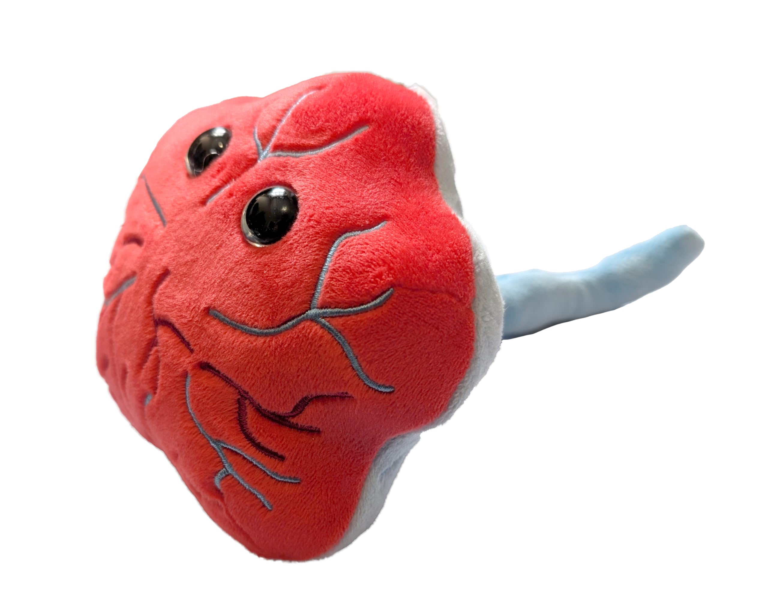 PLACENTA EXCELα ゆりーな Amazon.com: GIANT MICROBES Placenta Plush, Funny OBGYN Gift, Labor