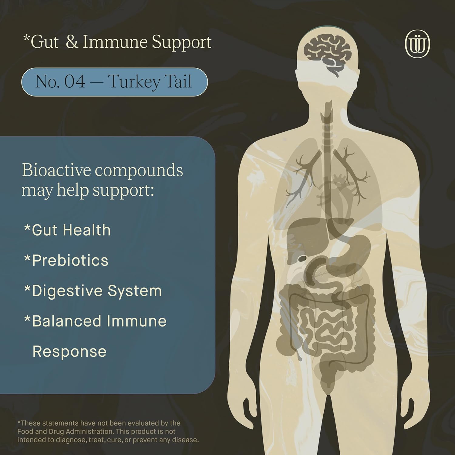 Turkey Tail Mushroom Extract - Double Extracted Fruitbody Mushroom Tincture | Immunity Booster, Manages Inflammation, Soothes Aches, Healthy Digestive Function, Antioxidants (60 Servings) - Image 6