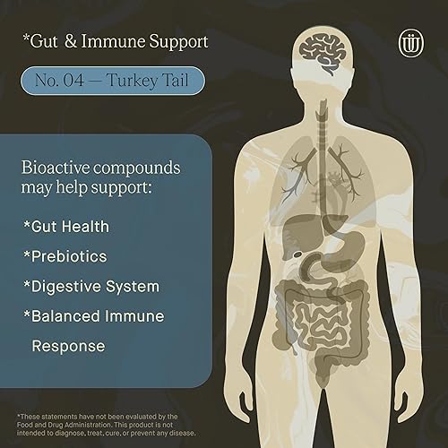 Miniatura 6 de UPHORIC URTH Mezcla de mezcla de hongos No.1-6 Reishi, Chaga, melena de león, cola de pavo, cordyceps y shiitake, refuerzo de inmunidad de apoyo
