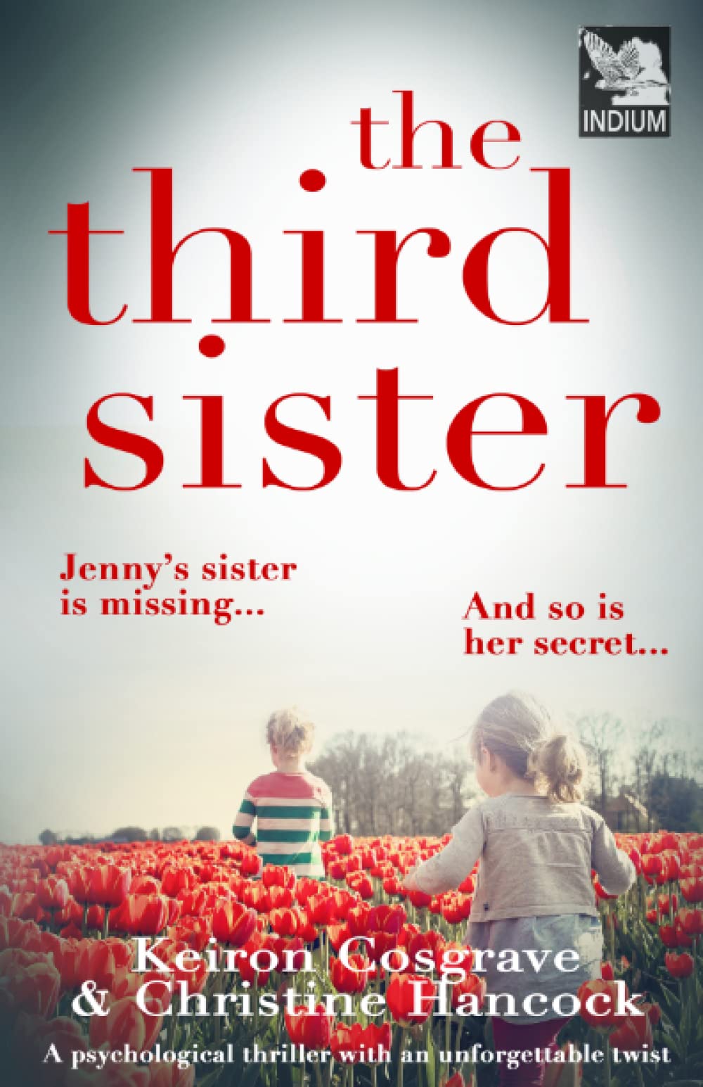 THE THIRD SISTER: a dark and twisty, psychological suspense mystery (Domestic Crime)