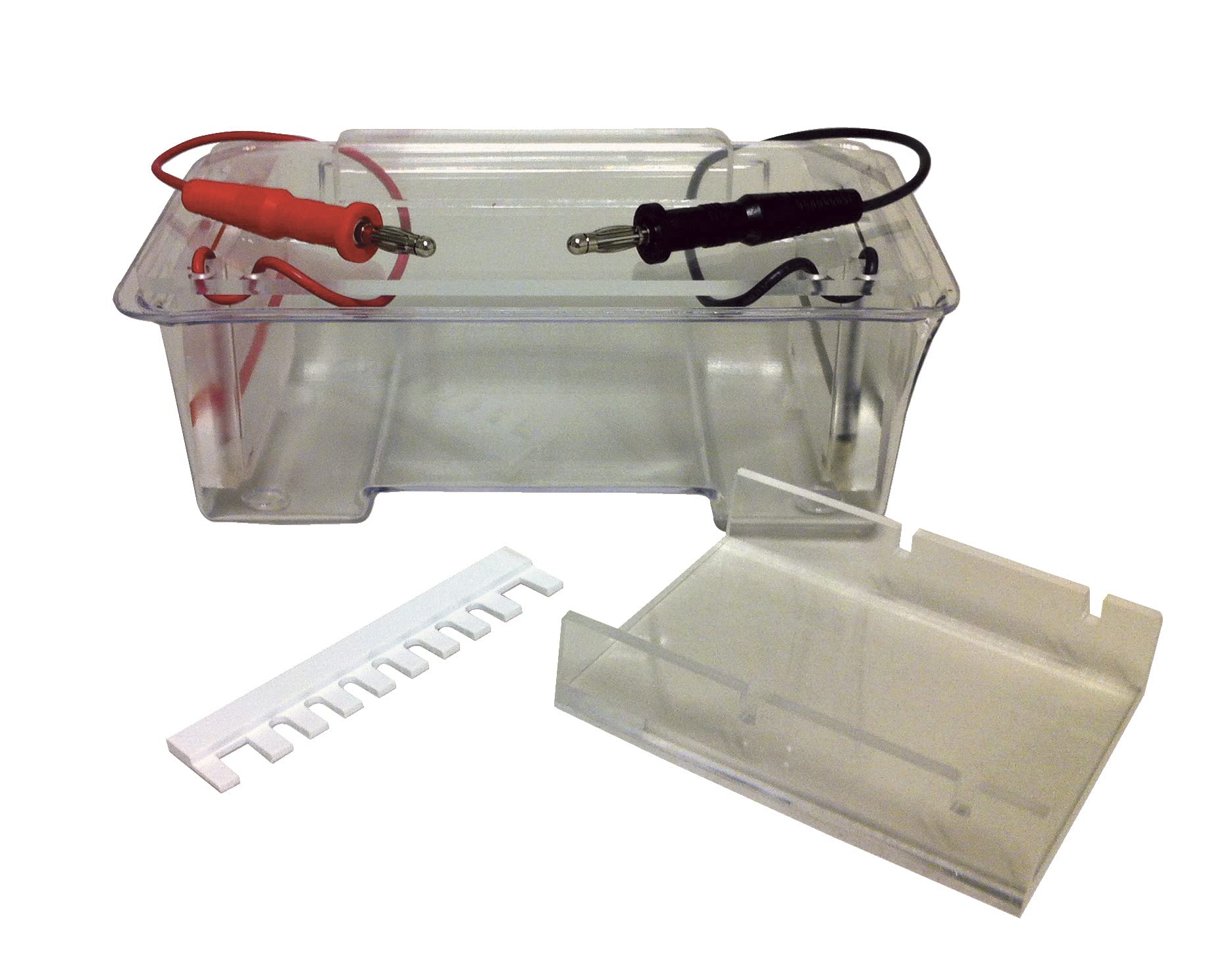 Frey Scientific 1267918 Single-Gel Electrophoresis Apparatus, 7" x 3-1/2" x 2-1/2" Tank Size, 4" x 3" Tray Size