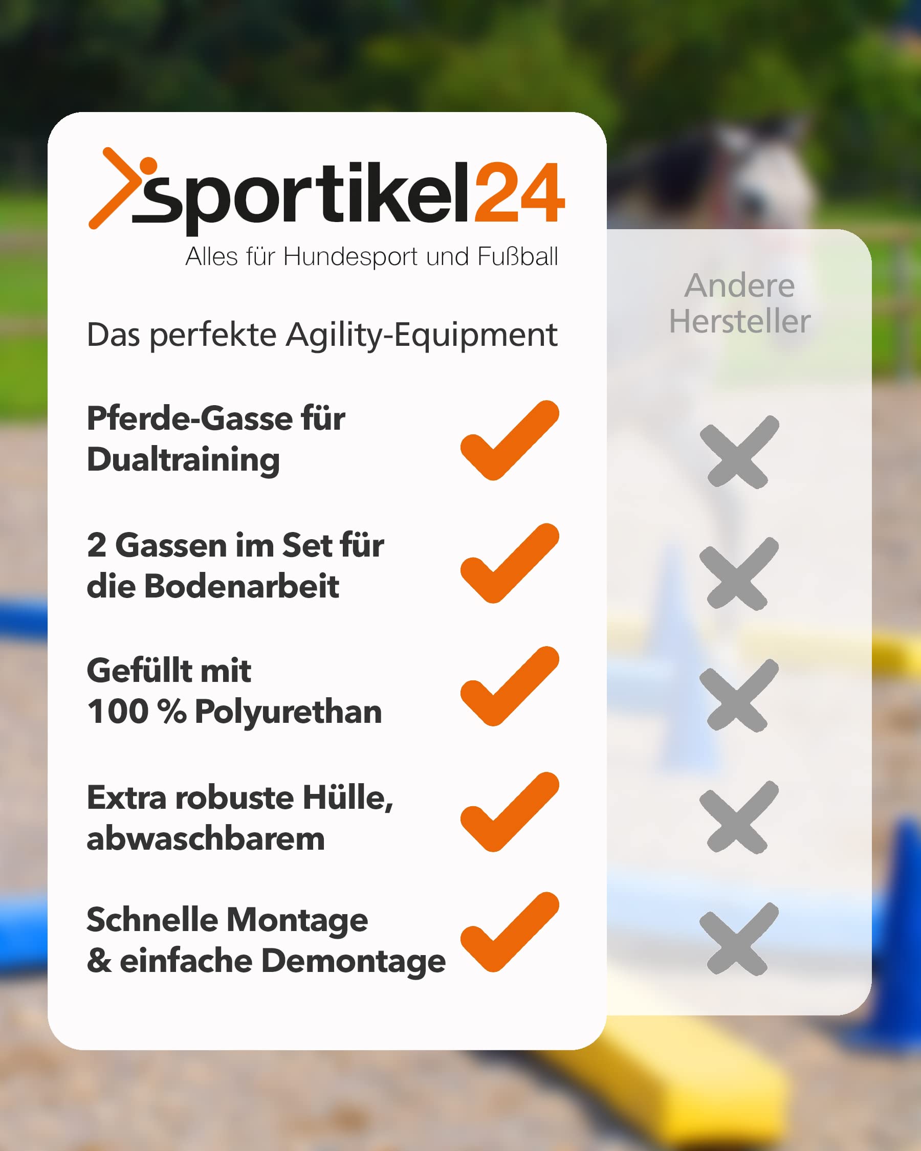 Pferde-Gassen 2er-Set – Bodenarbeitsstangen 300 cm aus Schaumstoff, Blau & Gelb, für sicheres Mental- und Koordinationstraining